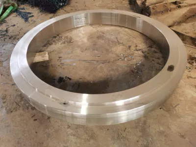 A válvula feita sob encomenda parte a flange de aço inoxidável Titanium do pescoço da solda do aço carbono